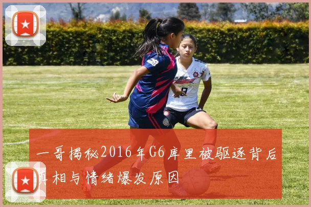 一哥揭秘2016年G6库里被驱逐背后真相与情绪爆发原因